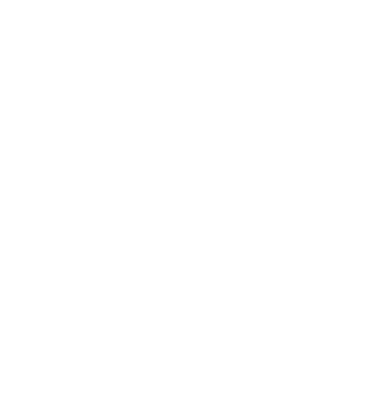 Virtual World