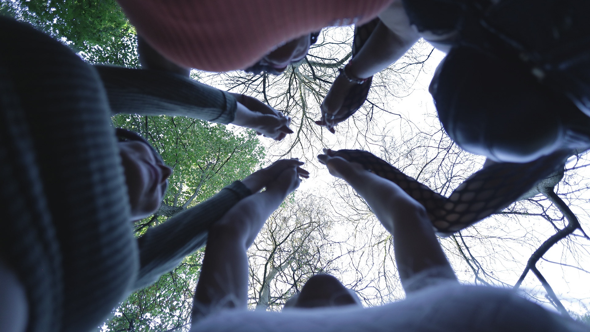 Sexilio participants gathered beneath trees