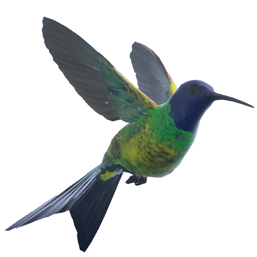 Hummingbird