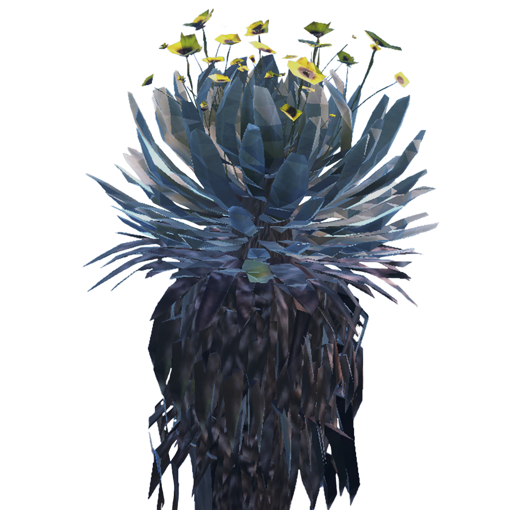 Frailejón