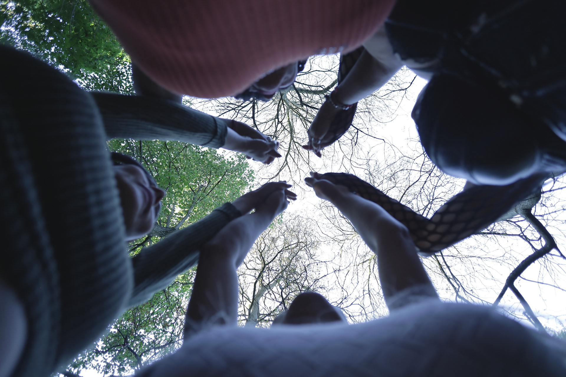SEXILIO participants gathered beneath the trees